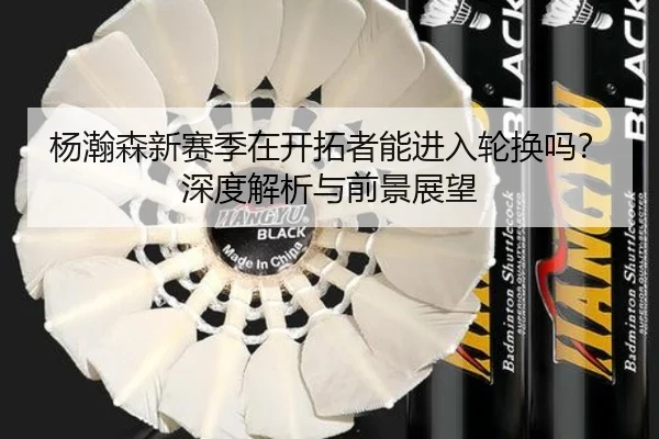 杨瀚森新赛季在开拓者能进入轮换吗？深度解析与前景展望